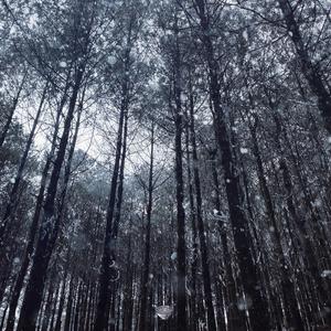 美女又爽❌又黄❌大尺度
